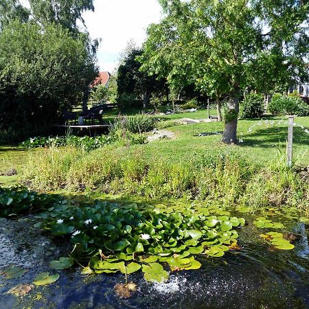 "Balmgarten" Im Naturpark Usedom, Bio Solarhaus Mit Grossem Garten Εξωτερικό φωτογραφία