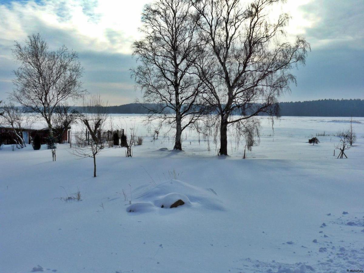 "Balmgarten" Im Naturpark Usedom, Bio Solarhaus Mit Grossem Garten Εξωτερικό φωτογραφία