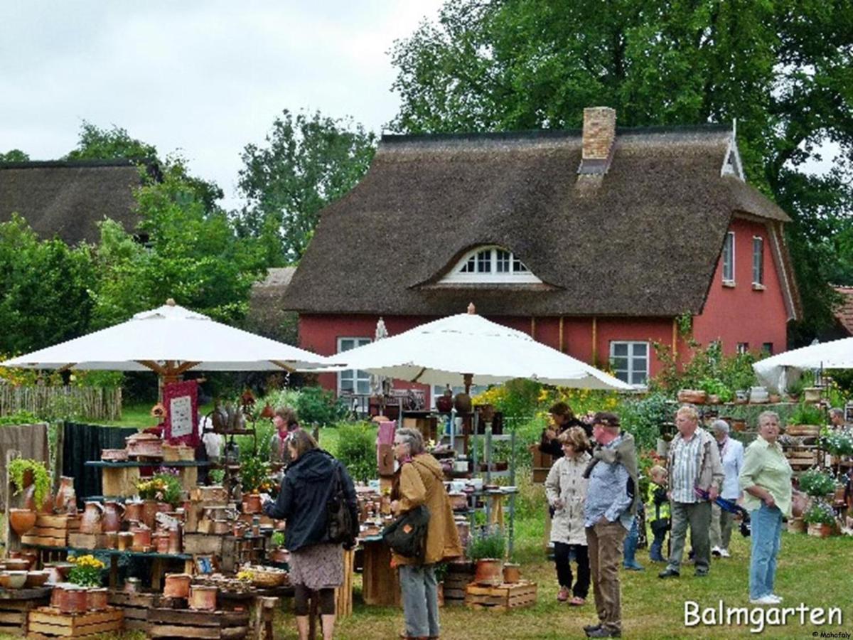 "Balmgarten" Im Naturpark Usedom, Bio Solarhaus Mit Grossem Garten Εξωτερικό φωτογραφία