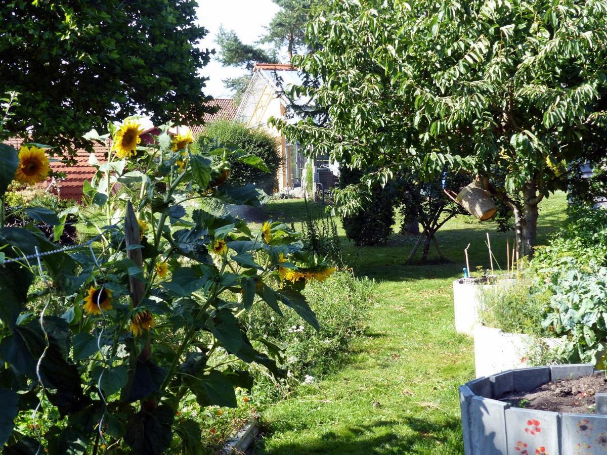 "Balmgarten" Im Naturpark Usedom, Bio Solarhaus Mit Grossem Garten Εξωτερικό φωτογραφία