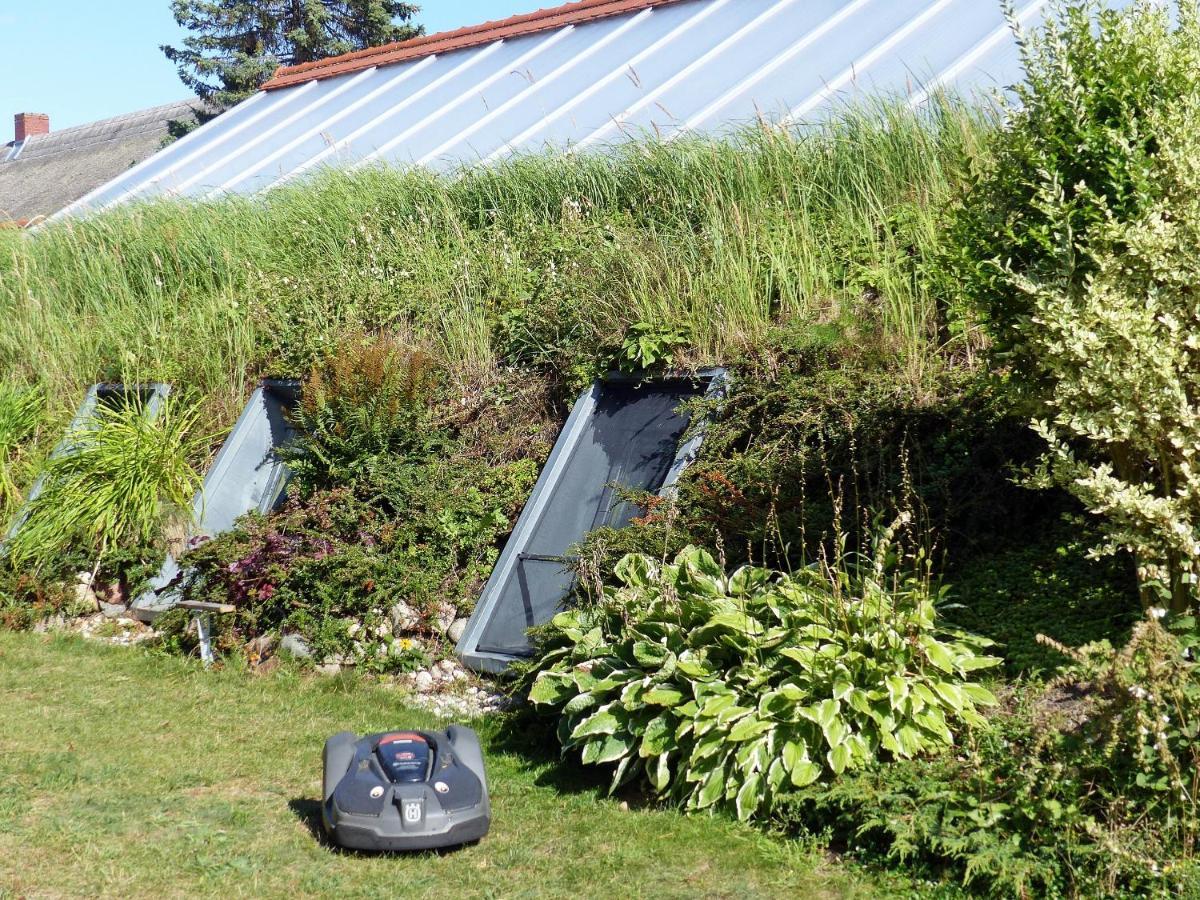 "Balmgarten" Im Naturpark Usedom, Bio Solarhaus Mit Grossem Garten Εξωτερικό φωτογραφία