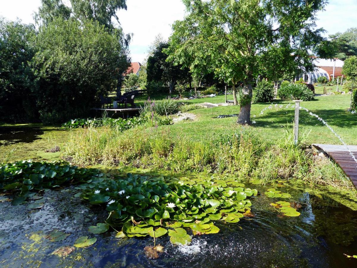 "Balmgarten" Im Naturpark Usedom, Bio Solarhaus Mit Grossem Garten Εξωτερικό φωτογραφία